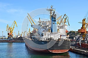 Bulk cargo ship under port crane photo