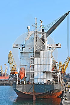 Bulk cargo ship under port crane