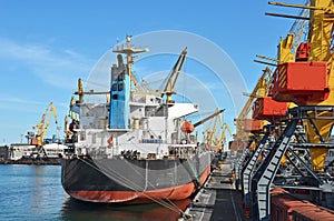 Bulk cargo ship under port crane