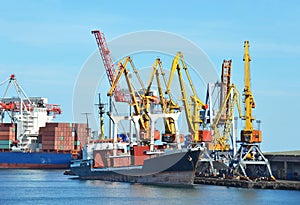 Bulk cargo ship under port crane