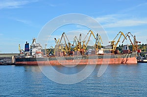 Bulk cargo ship under port crane