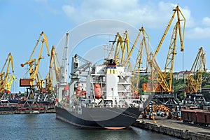 Bulk cargo ship under port crane