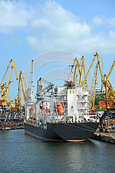 Bulk cargo ship under port crane