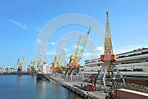 Bulk cargo ship under port crane