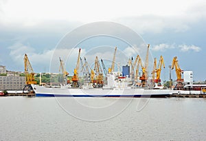 Bulk cargo ship under port crane