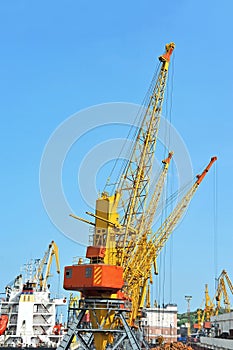 Bulk cargo ship under port crane