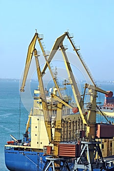 Bulk cargo ship under port crane