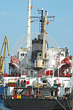 Bulk cargo ship under port crane