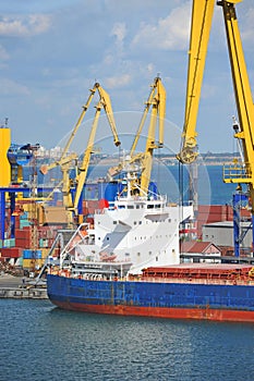 Bulk cargo ship under port crane