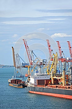 Bulk cargo ship under port crane