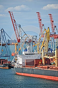 Bulk cargo ship under port crane