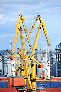 Bulk cargo ship under port crane