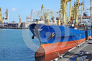 Bulk cargo ship under port crane