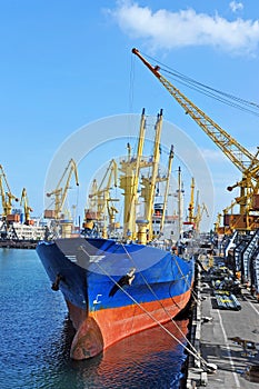 Bulk cargo ship under port crane