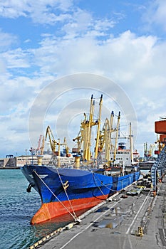 Bulk cargo ship under port crane