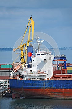 Bulk cargo ship under port crane