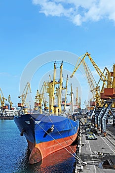 Bulk cargo ship under port crane