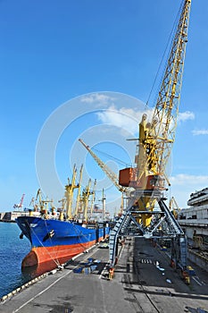 Bulk cargo ship under port crane