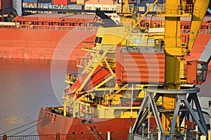 Bulk cargo ship under port crane