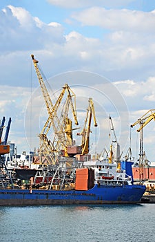 Bulk cargo ship under port crane