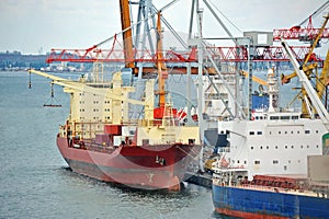 Bulk cargo ship under port crane