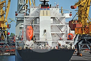 Bulk cargo ship under port crane