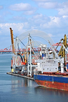 Bulk cargo ship under port crane