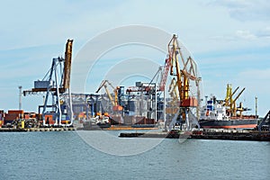 Bulk cargo ship under port crane