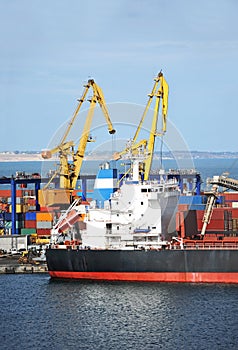 Bulk cargo ship under port crane