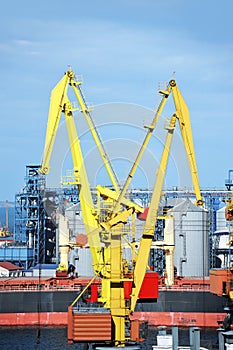 Bulk cargo ship under port crane