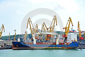 Bulk cargo ship under port crane