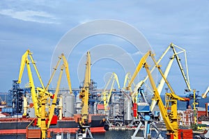 Bulk cargo ship under port crane