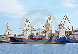 Bulk cargo ship under port crane