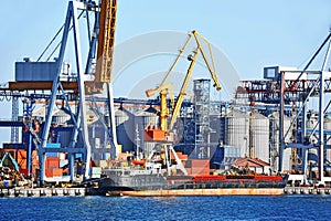 Bulk cargo ship under port crane