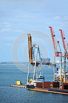 Bulk cargo ship under port crane