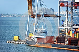 Bulk cargo ship under port crane