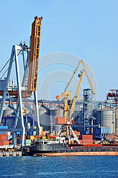 Bulk cargo ship under port crane