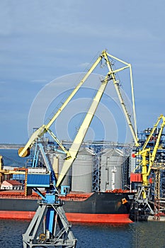 Bulk cargo ship under port crane