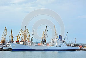 Bulk cargo ship under port crane