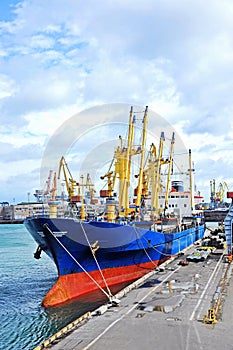 Bulk cargo ship under port crane