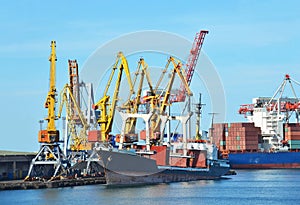 Bulk cargo ship under port crane