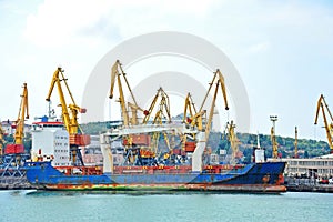 Bulk cargo ship under port crane