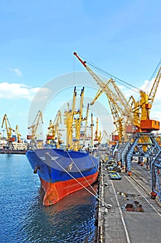 Bulk cargo ship under port crane