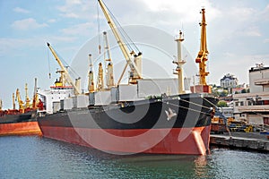 Bulk cargo ship under port crane