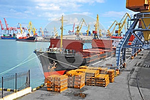 Bulk cargo ship under port crane