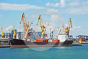 Bulk cargo ship under port crane