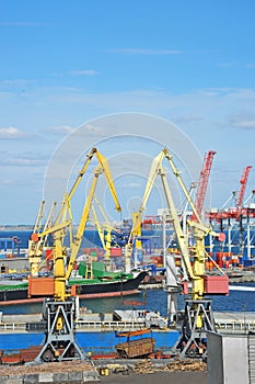 Bulk cargo ship under port crane