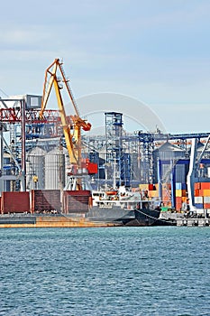 Bulk cargo ship under port crane