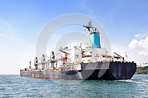 Bulk Carrier Cargo Ship