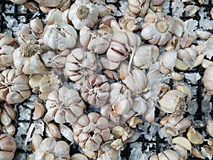 Bulk garlic in the market